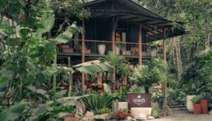 awā Beachfront Hotel Punta Uva, a Southern Caribbean escape