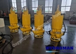Hydroman submersible slurry pumps