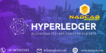 Hyperledger blockchain development