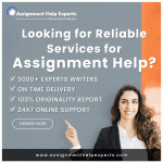 Online Assignment Help