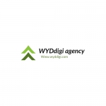 WYDdigi Agency - Best Digital Marketing Agency in Dhule