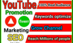 I will do youtube channel promotion marketing and SEO setting