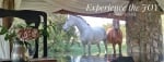 Lethabo Estate wedding venue, picnics, spa, conferencing