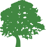Tree Lopping Brisbane Southside