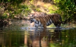 Sundarban Package Tour from Kolkata