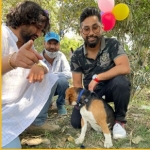 Dog Trainer in Delhi