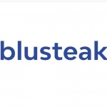 Blusteak- Digital Marketing Agency