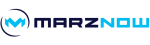 SEO Service Profesional Logo Design Website Design Melbourne