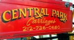 Book Carriage Ride, Sightseeing in Central Park