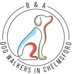 B&A Dog Walkers In Chelmsford
