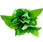 Nectarphytochems