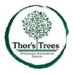 Thor's Trees Tree Surgeons