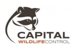 Capital Wildlife Control