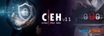 Ethical Hacking CEH CHFI ECSA Cyber Security Training center