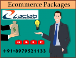 Ecommerce Packages