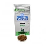 Cats Food