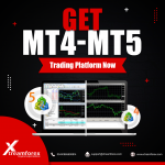 Get MT4-MT5 Trading Platform Now