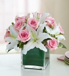 Spencer's Designer Florist, Gifts & Arrangements