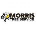 Morris Tree Service