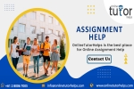 Online Assignment Help