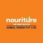 Get the Best Protein-Packed Animal Feed From Nouriture