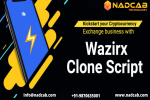 Wazirx Clone Script