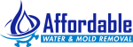 Affordable Water and Mold Removal