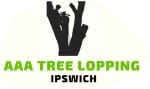 Tree Service Arborist & Tree Surgeon