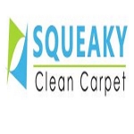Squeakycleancarpet