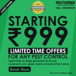 Pestofree - Pest Control Mumbai | Pest Control Near Me