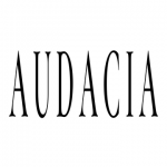 Luxury Home Products At Audacia Home