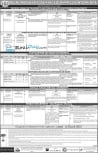 PPSC JOB
