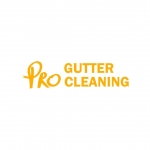Pro Gutter Cleaning Melbourne