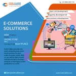 eCommerce Development Company in Noida | Code Calibre