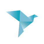 app development, web development, software development