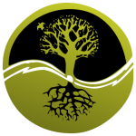 Tree Surgeon Monmouth