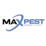 Rodent Treatment Sydney