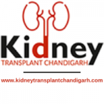 Kidney transplant Chandigarh- The best kidney hospital