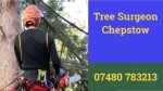Complete Tree Surgeons Chepstow