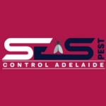 Termite Pest Control Adelaide