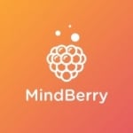 MindBerry- Mental Health Care