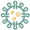 Sun City Mold Experts