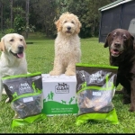 Beef Tendons For Dogs