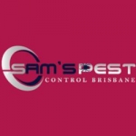 Bedbugs Control Brisbane