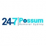 Possum Pest Control Sydney