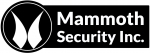 Mammoth Security Inc. New Haven