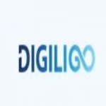 Digiligo- Search engine optimisation agency in India