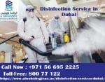 Disinfection Service