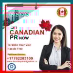 Immigration Consultant In Surrey
