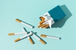Empty Cardboard Cigarette Boxes